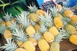 ananas
