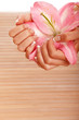 Spa hands