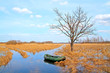 rubber boat near oak.
