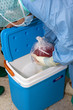 Nierentransplantation33