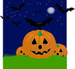 pumpkins on haloween