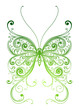 Vector decorative butterfly