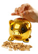 Risparmio Wood Pellet