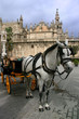 sevilla Cathedral gothic with typical horse cab