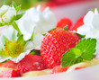 Erdbeeren in Sahnepudding