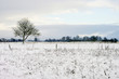 Hiver