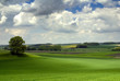 Frühling