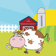 Chubby White Cow Eating A Daisy By A Silo And Barn