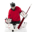 Photo: Ice hockey goalie Ice hockey goalie