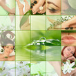 green collage