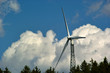 Wind Power
