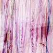 grunge background grunge background