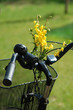Fahrrad mit Blumen