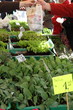 Wochenmarkt 2297
