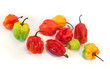 Exotic peppers Exotic peppers