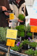 Wochenmarkt 2296