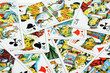 fond de cartes de tarot fond de cartes de tarot