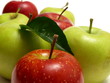 apple