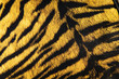 ����: Imitation of tiger leather as a background � Elnur #22977246