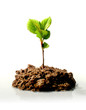 New life concept.
