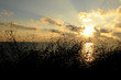 sunset 2