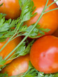 tomato and parsley