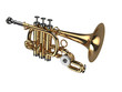 Wind Instrument