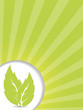 Bio green background Bio green background