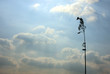 maibaum