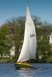Foto: Sailing on lake Alster Sailing on lake Alster