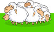 Flock of Lambs Flock of Lambs