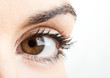 Female eye