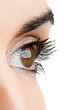 Female eye