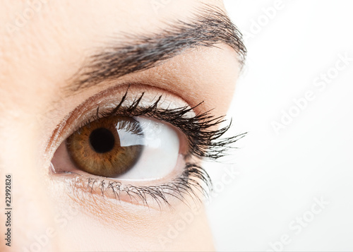 Photo: Female eye Female eye