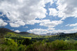 Paysage Monts-Dore Paysage Monts-Dore