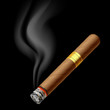 Smoldering cigar. Vector.
