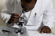 Lab Technician Lab Technician