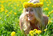 blonde girl on sunny field blonde girl on sunny field