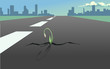 Flower in the crack of the asphalt