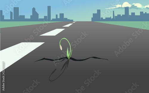 Vector: Flower in the crack of the asphalt Flower in the crack of the asphalt
