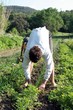 Agriculture biologique