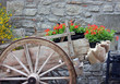 Photo: Vecchio carretto coperto di fiori Vecchio carretto coperto di fiori