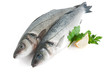 due branzini - two sea bass
