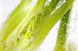 Cuisson Fenouil