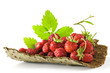 Photo en ligne au meilleur prix Fraises bio