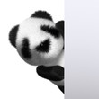 3d Peeping panda