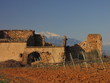 Pieds de Vignes et Neiges sur le Canigou ; Pyrénées Orientales