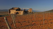 Pieds de Vignes ; Vieille Ferme ; Pyrénées Orientales