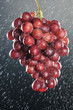 Pink grapes with water ripples
