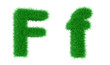 grass font